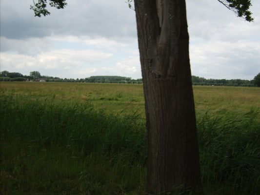 ik047-standard-4zvnen.jpg