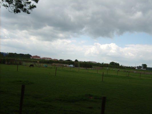 ik052-standard-8fivkr.jpg