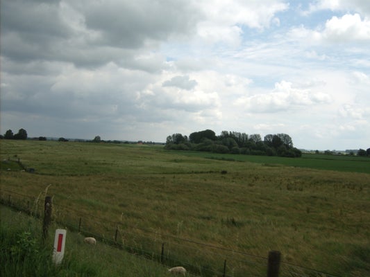 ik055-standard-hn490u.jpg