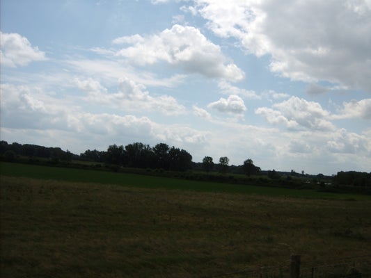 ik056-standard-9806qi.jpg