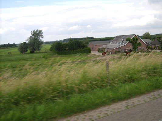 ik067-standard-63xslx.jpg