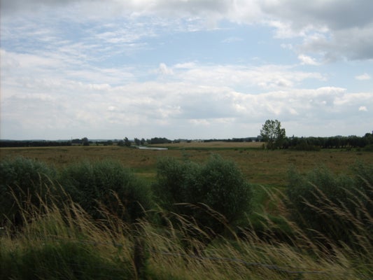 ik069-standard-cq7mrp.jpg