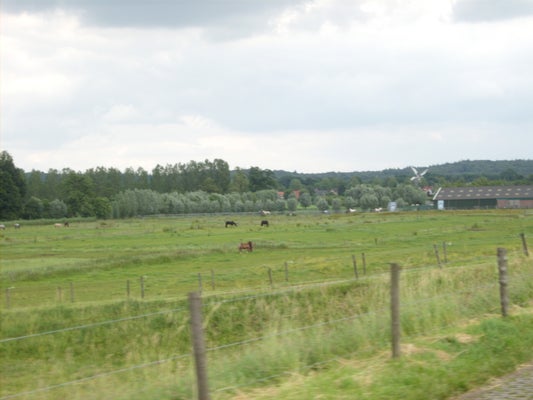 ik070-standard-3g2pne.jpg