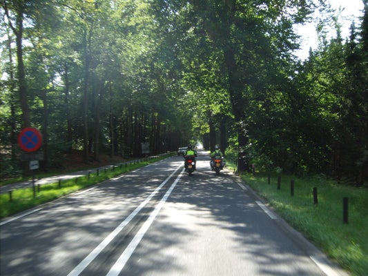 ik119-standard-imsu27.jpg