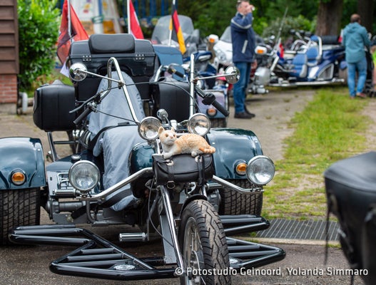 motorrun-2024_yolanda-simarro-5955-standard.jpg