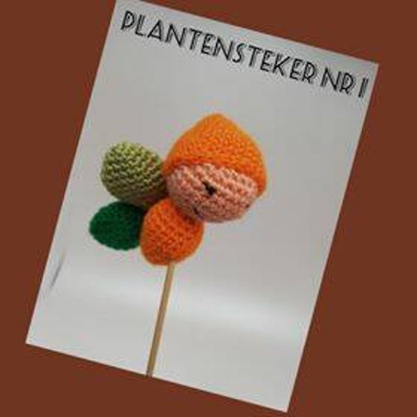 Plantensteker. Vlinder