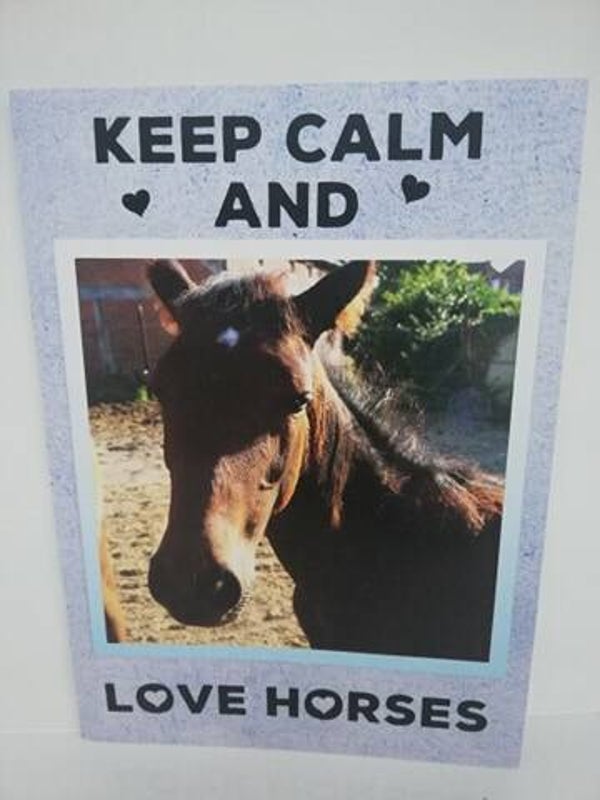 Love horses nr2