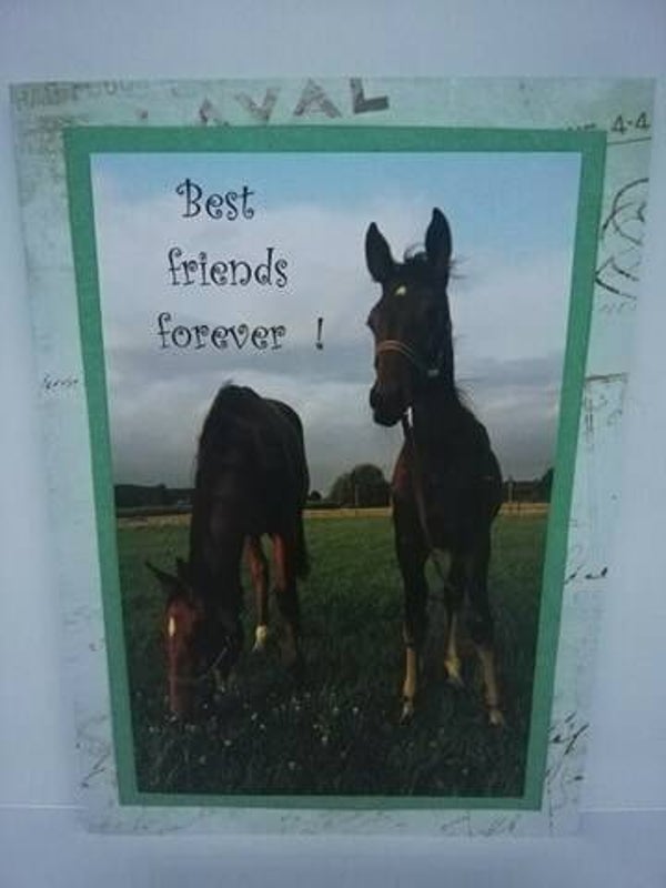 Best friends forever nr 1