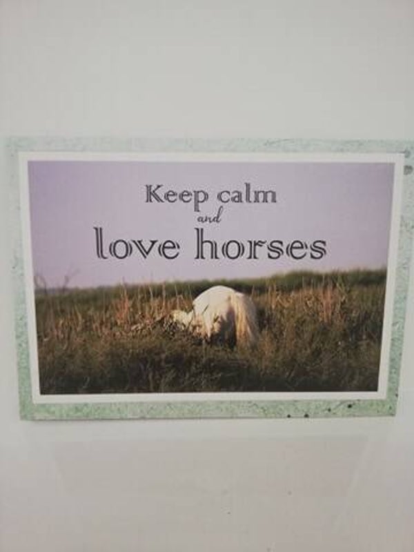 Love horses nr 3