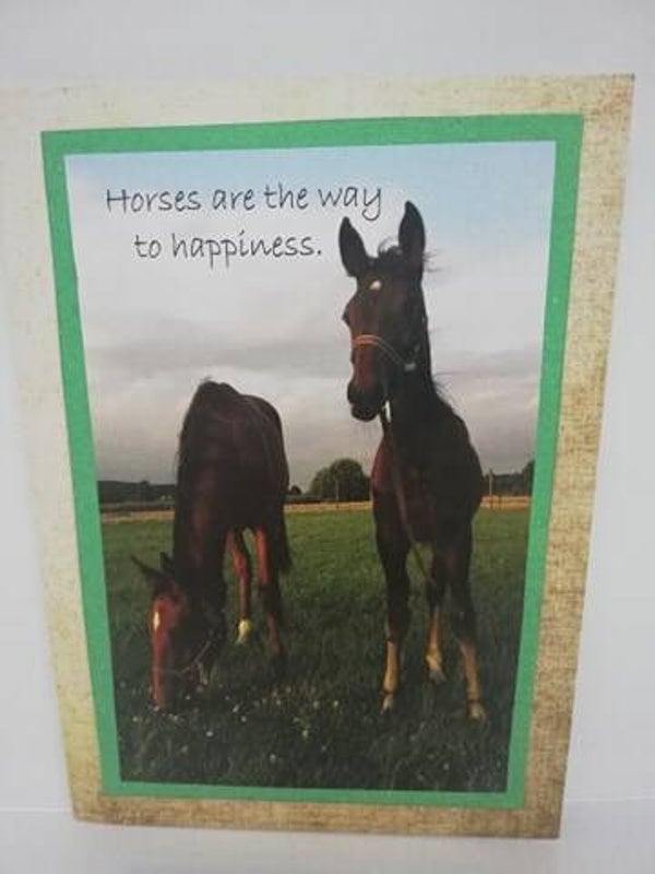 Happiness nr1