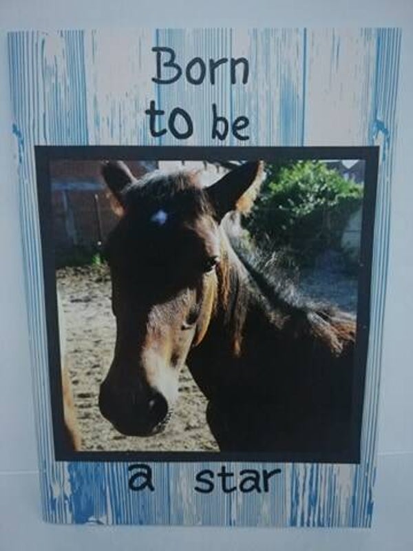 born to be a star