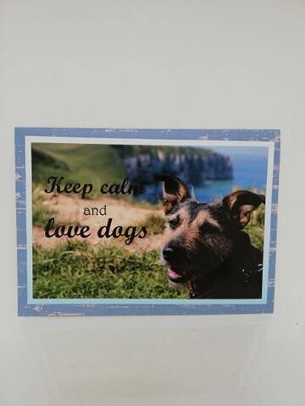 Honden fotokaart nr 1