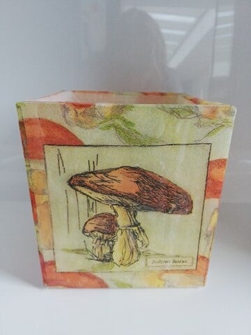 lantaarn paddenstoel