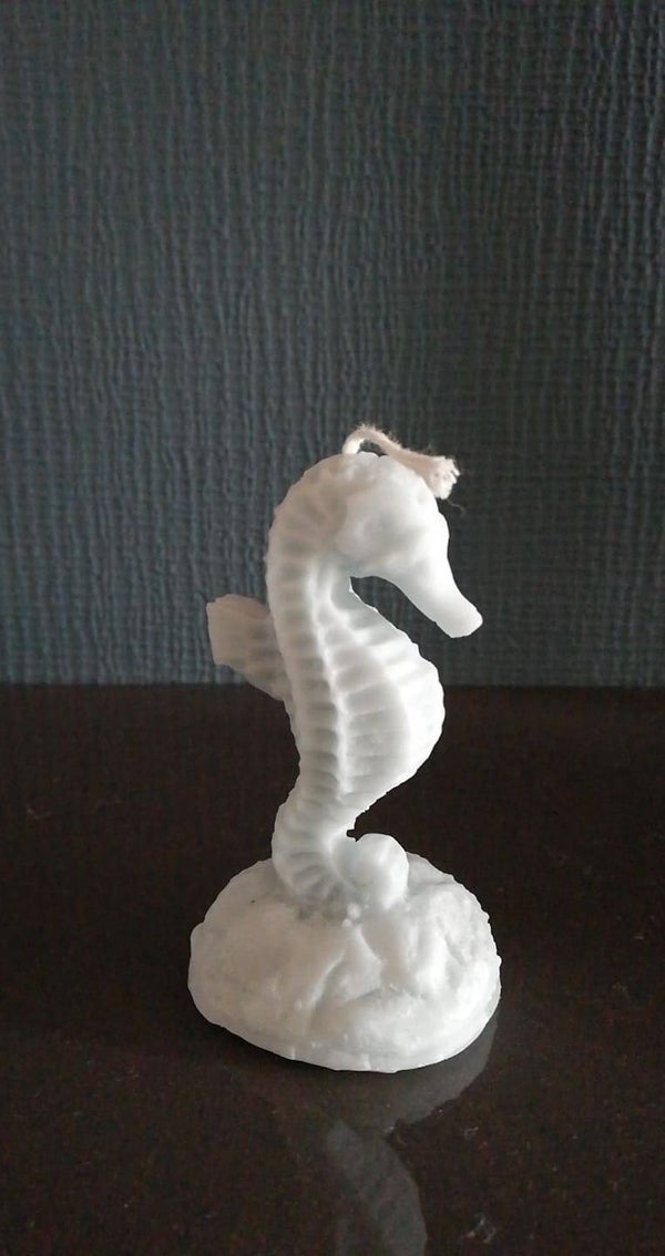 Zeepaardje
