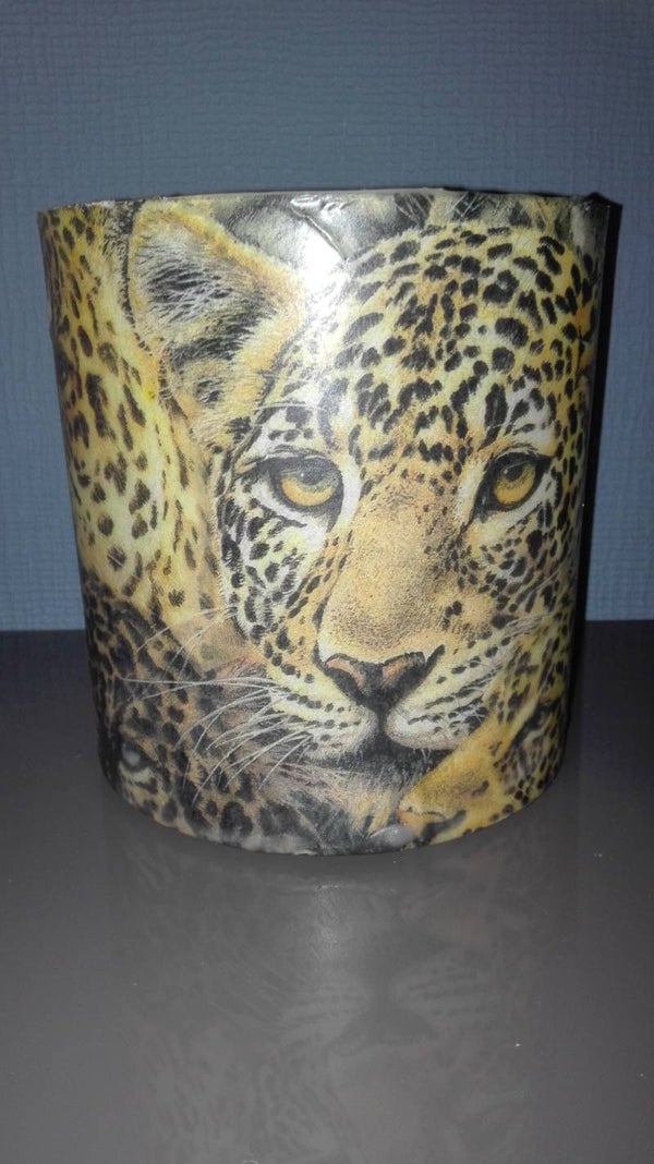Tijger