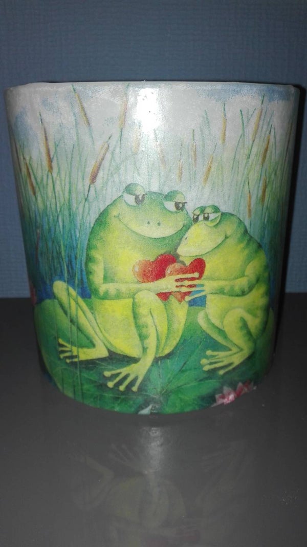 Verliefde kikkers
