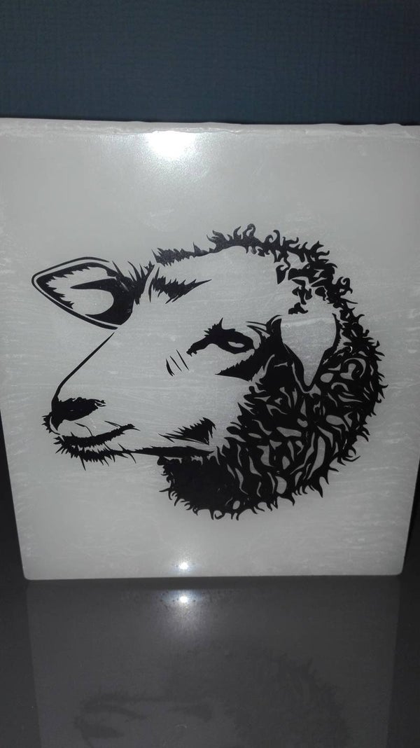 Schaap