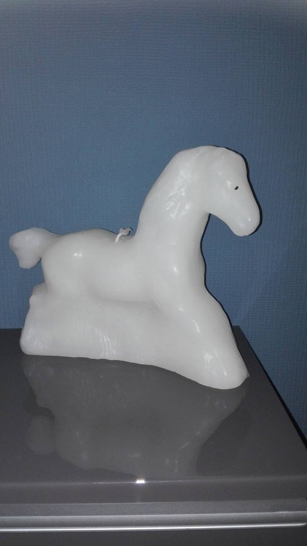 Groot paard P