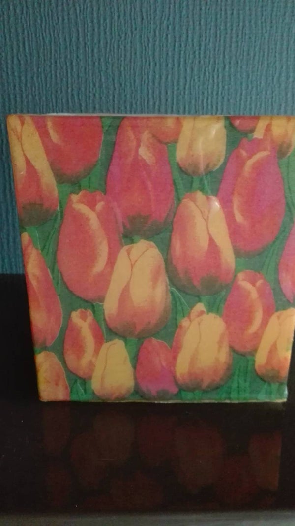 Tulpen