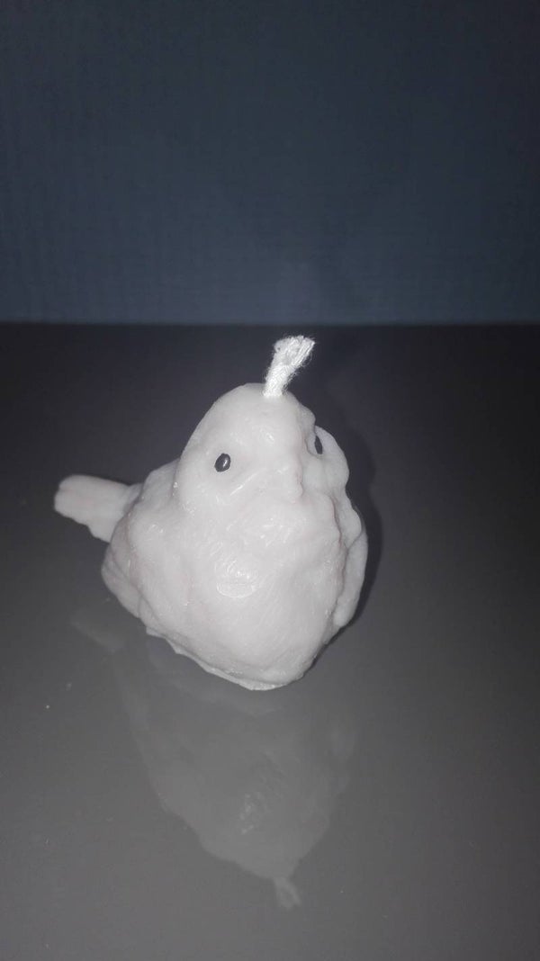 Vogeltje 2  K