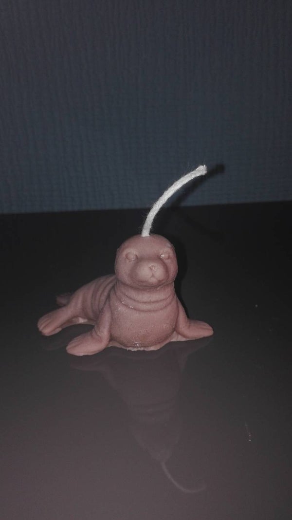 Zeehondje