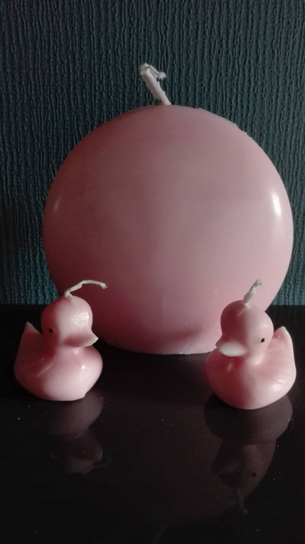 Discus met 2 eendjes 