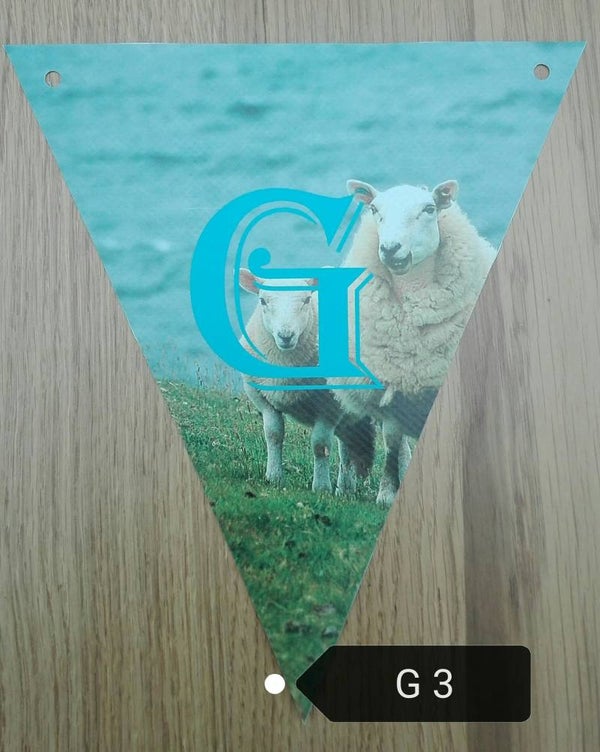 G