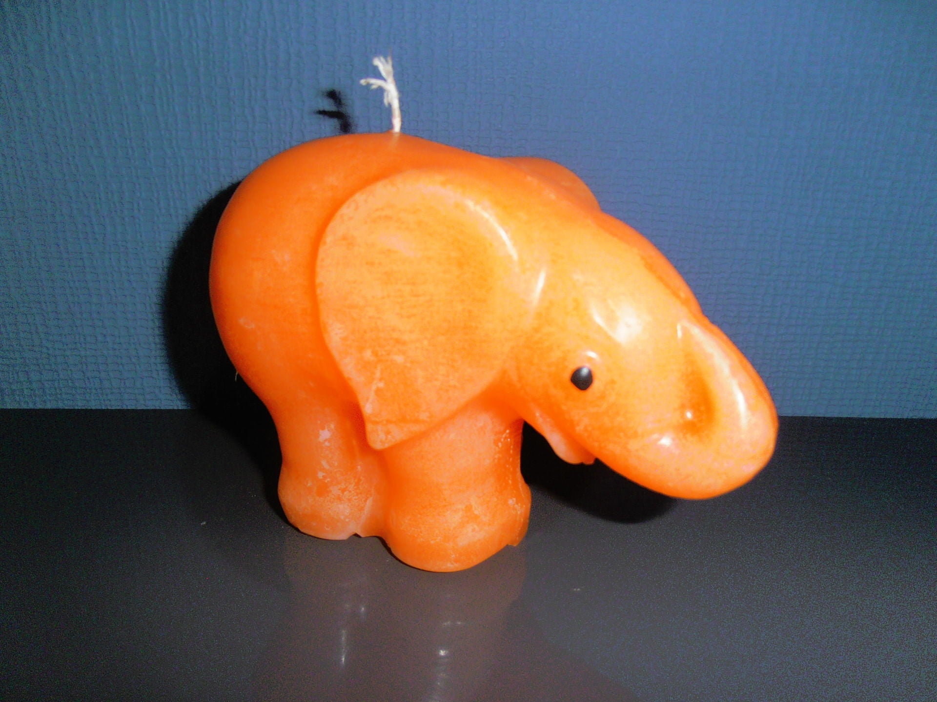 Olifant P