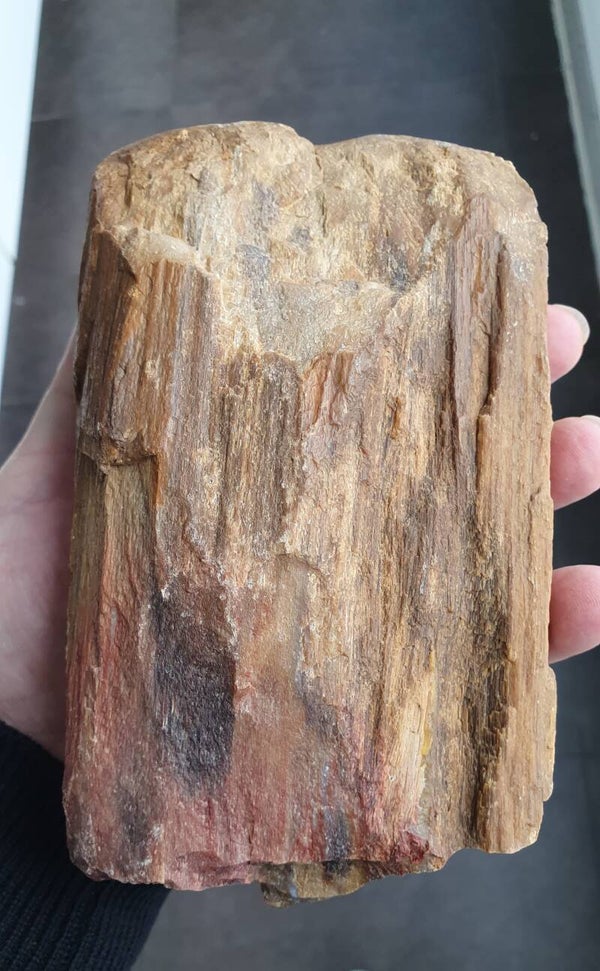 Code O-09 - Geopaliseerd versteend hout