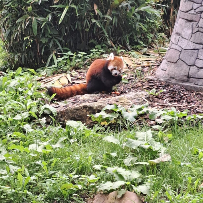 image00090.jpeg