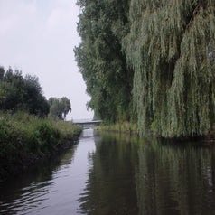 dsc03803.jpg