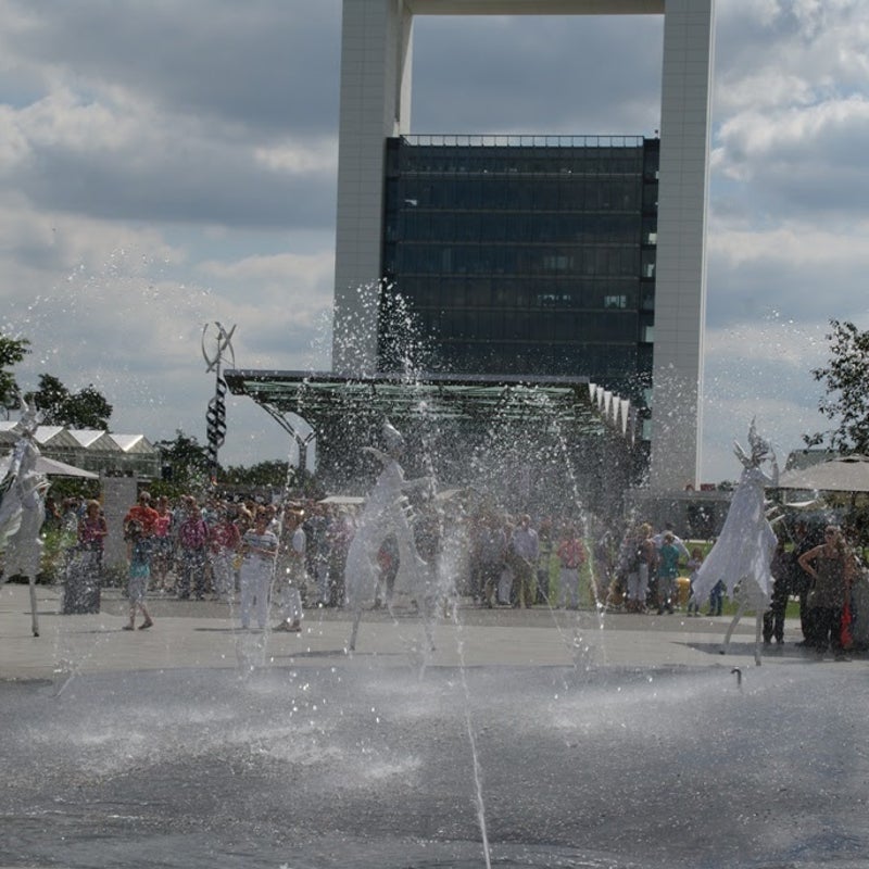 SONY DSC