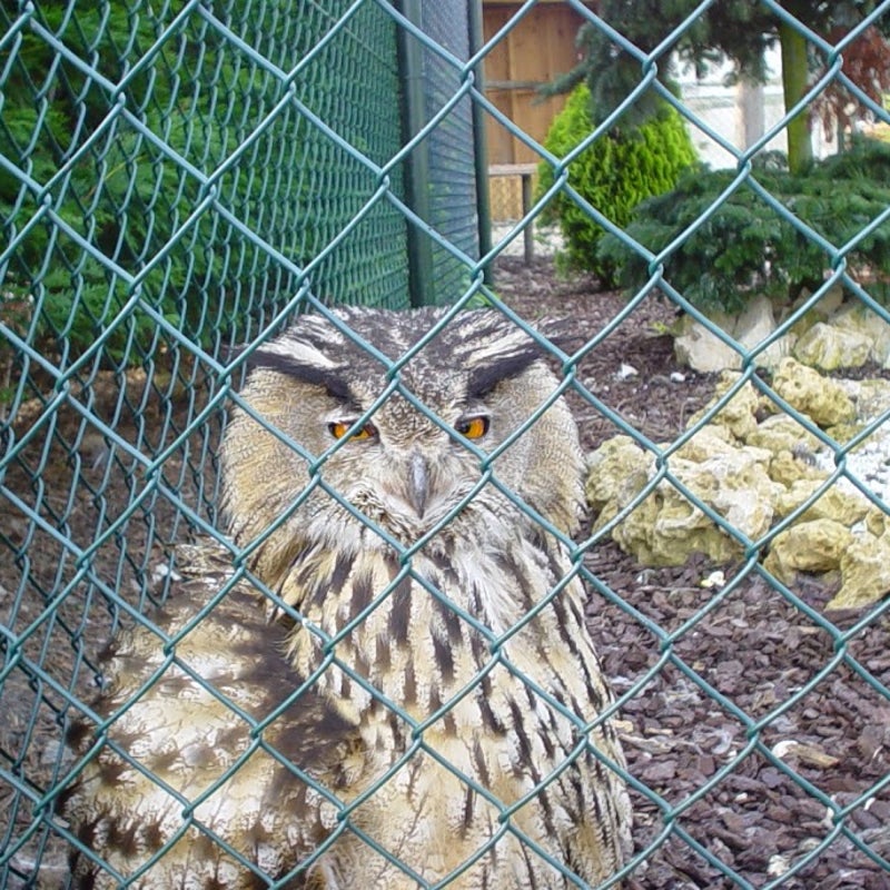 DSC08117.JPG