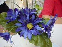 DSC08270.JPG