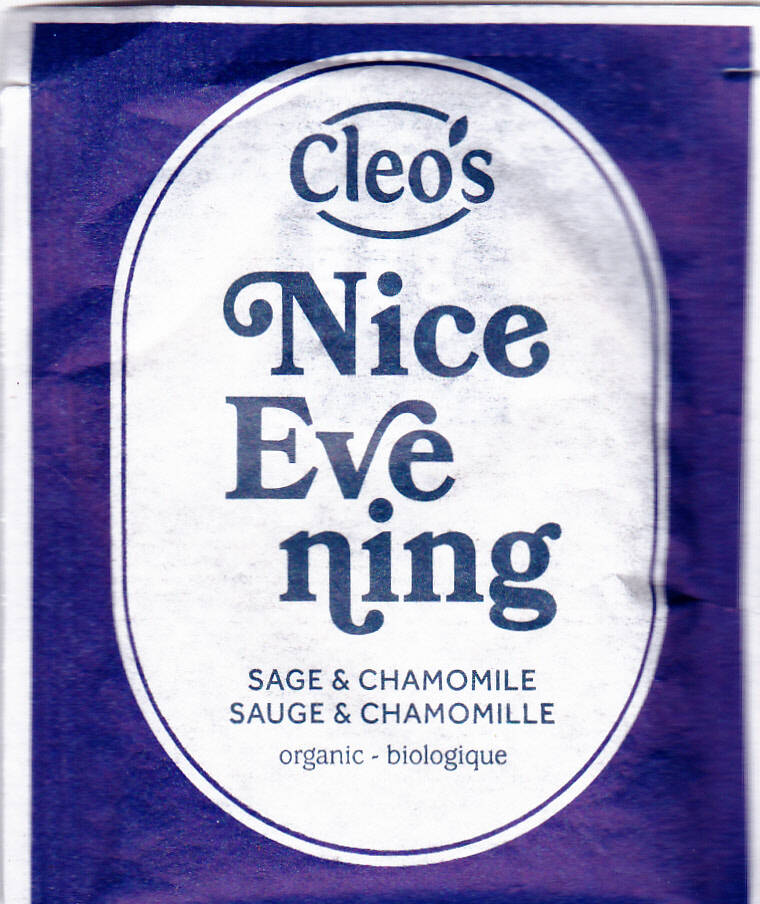 cleosniceevening.jpg