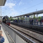 DSC07739.jpg
