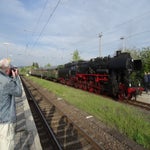 DSC07753.jpg