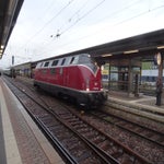 DSC07704.jpg