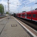 DSC07730.jpg