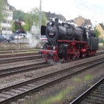 DSC07773.jpg
