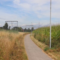 nmbs56h.jpg