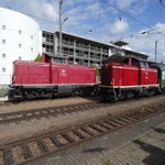DSC07684.jpg