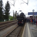 DSC07696.jpg