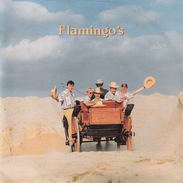 flamingos-standard.jpg