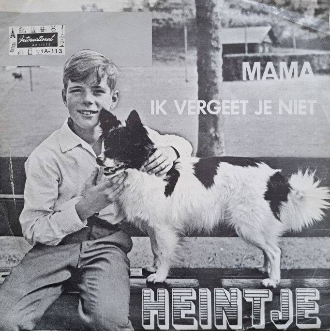 heintjeia-standard.jpg