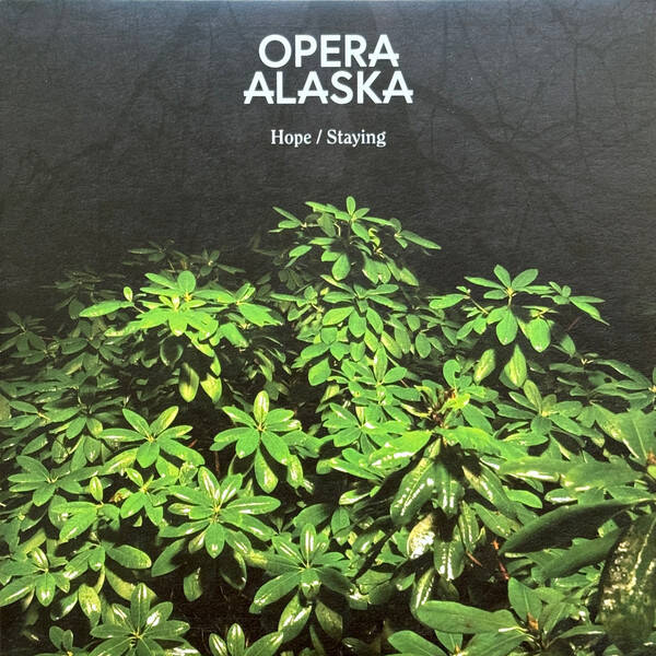 opera039-standard.jpg