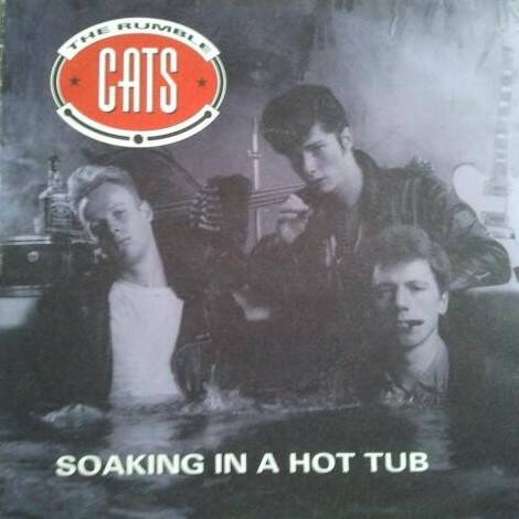 rumblecats9138-standard.jpg