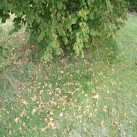 img_4556-standard.jpg