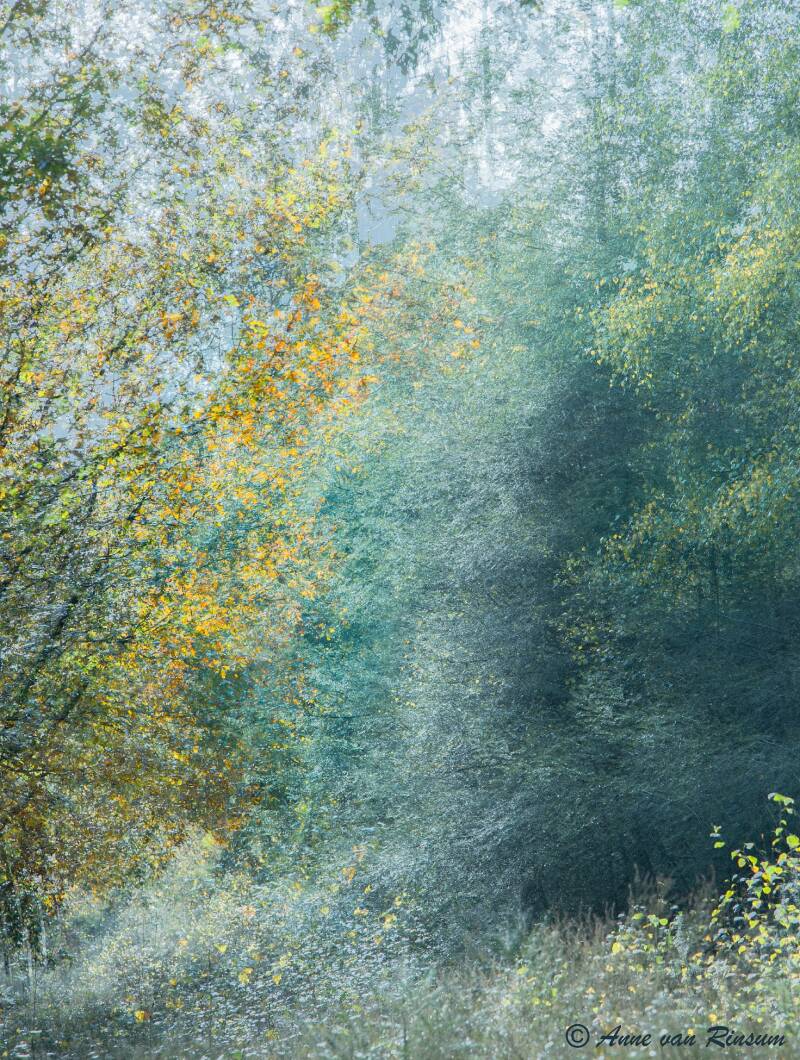 Herfstimpressie