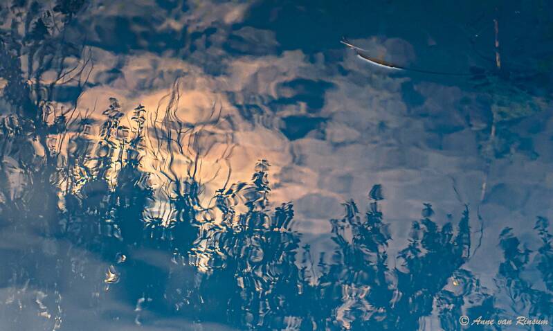 Reflectie